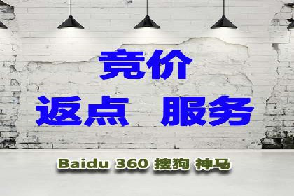 百度优化推广案例：打造行业领先品牌